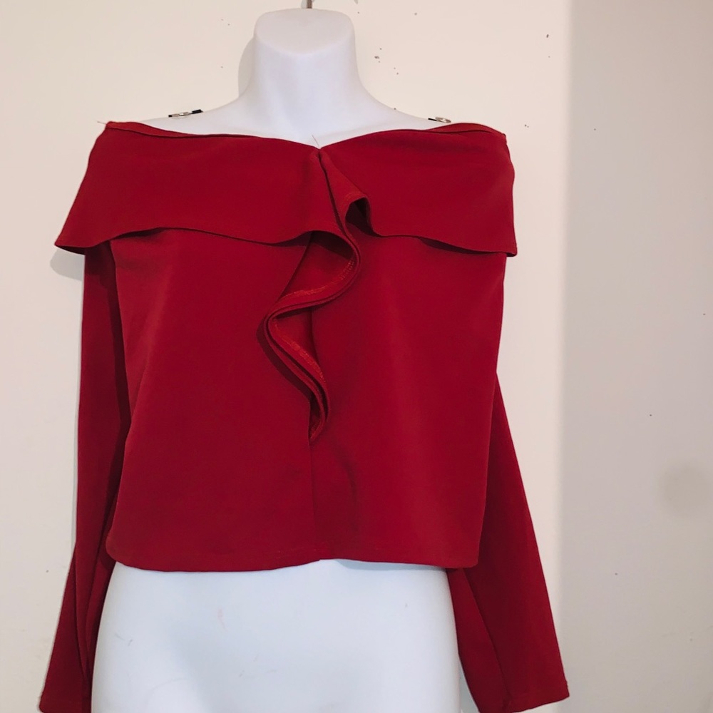 Long sleeved crop top